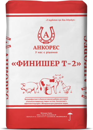 25 кг